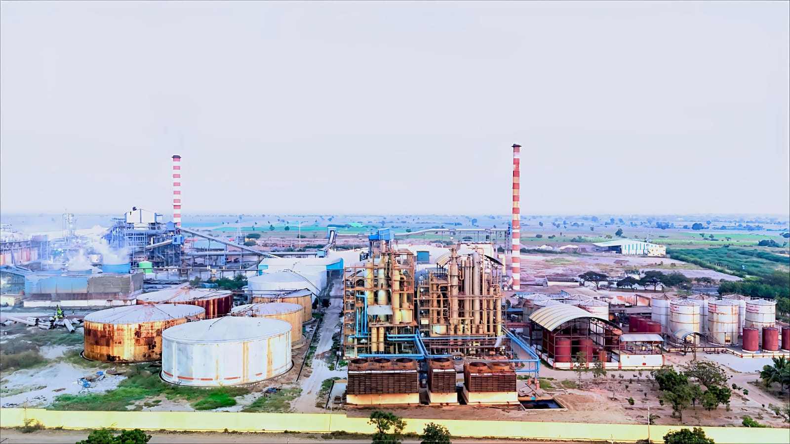 WhatsApp Image 2025-07-24 at 11.39.58 AM (1)